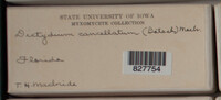 Image Associated With the Occurence